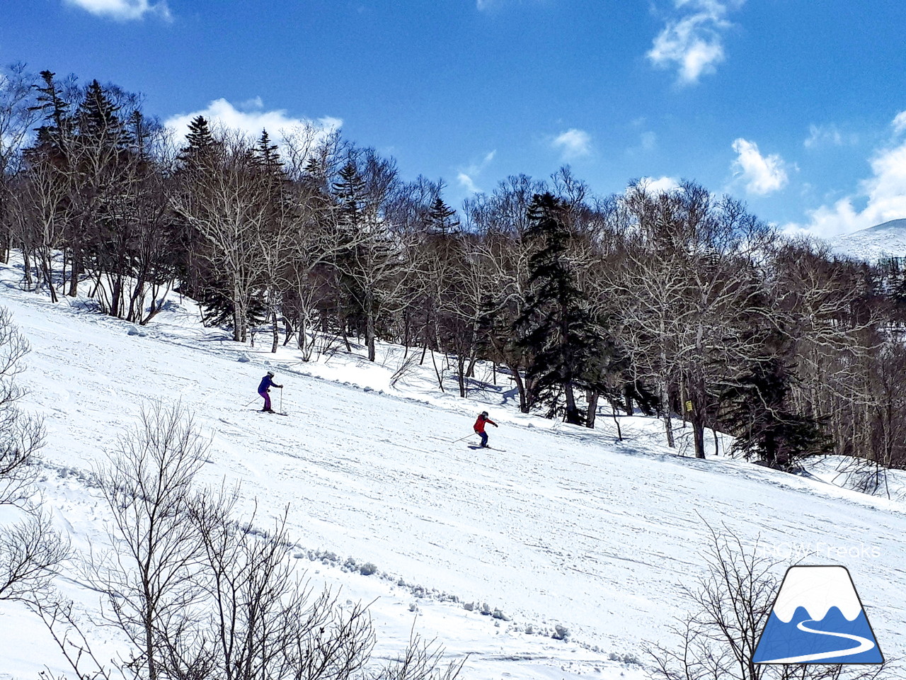 キロロリゾート　積雪260cm！春のベストシーズン到来ですo(^-^)o